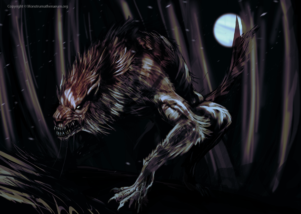 Descriptions of the Beast of Gevaudan varied wildly ranging from a large gray wolf to a monstrous hulk said to be four times larger than a horse.