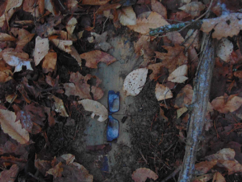 Boutwell_sasquatch_footprint
