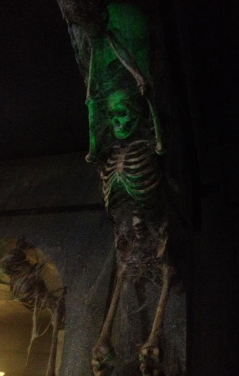 Erebus
