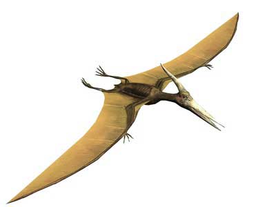 Pterosaurs, giant winged dinosaurs with sharp teeth and claws, were one of the first creatures to take to the air.